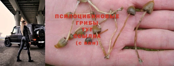 герыч Новодвинск