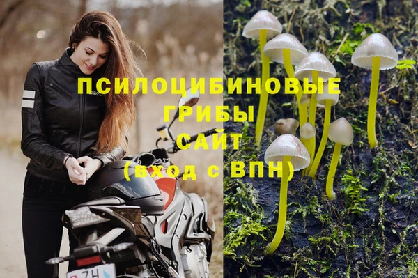 марихуана Новозыбков