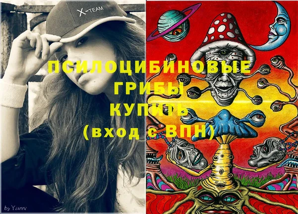 Альфа ПВП Новокубанск
