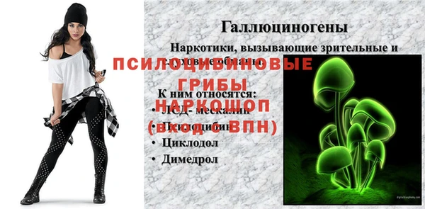 Альфа ПВП Новокубанск