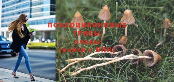 марихуана Новозыбков