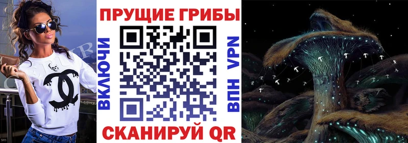 Псилоцибиновые грибы Psilocybine cubensis  где продают наркотики  Сурск 